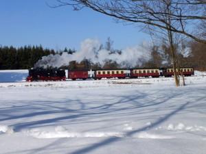 Dampfzug unterwegs auf der Selketalbahn im Winter
