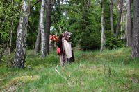 Unterharzer Wanderb&auml;r unterwegs im M&auml;rchenwald