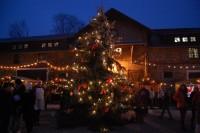 Weihnachtsbaum auf dem Freigelände des Heimatmuseums Ditfurt