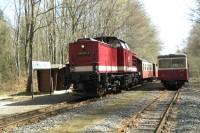 Zugbegegnung zwischen Sonderzug mit Triebwagen 187 012 und Planzug 8916 mit Lok 199 874 im Bf Sternhaus Ramberg