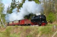 Am Morgen des 01.05.2012 (Di.) ist Lok 99 6001 noch ohne Rauchkammerschild unterwegs (hier im Langen Tal nach Harzgerode).