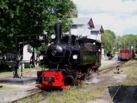 Gastlok Lok Nr. 105 (Museumsbahn Blony – Champy / Schweiz) beim Wassernehmen im Bahnhof Hasselfelde (12.08.2012)