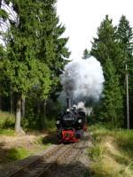 Zug bei der Scheindurchfahrt zwischen Sorge und Benneckenstein bei km 32,0