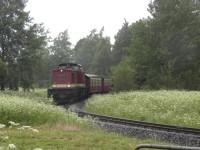 Sonderzug Gernrode (Harz) – Nordhausen Nord bei der Fahrt durch die Wendeschleife des Bahnhofs Stiege (2)