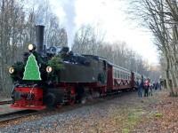 Sonderzug beim Zwischenhalt im Bahnhof Sternhaus Ramberg