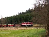 Sonderzug mit Lok 199 874 bei der Scheinanfahrt am Kilometer 24,7 (ehemalige Verladestelle Selkewiesen) (2)