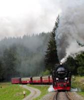 Sonderzug Nordhausen Nord – Wernigerode mit Lok 99 236 kurz hinter Sorge (3)