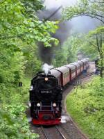 Kreuzung des Sonderzuges Nordhausen Nord – Wernigerode im Bf Steinerne Renne mit dem Planzug 8939 und Lok 99 7239 (2)