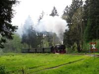 Ausfahrt des Sonderzuges Nordhausen Nord – Wernigerode aus dem Bf Elend (1)