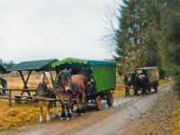 Mit Kremsern fuhren die Kinder des Patenkindergartens von Harzgerode nach Straberg zurck.