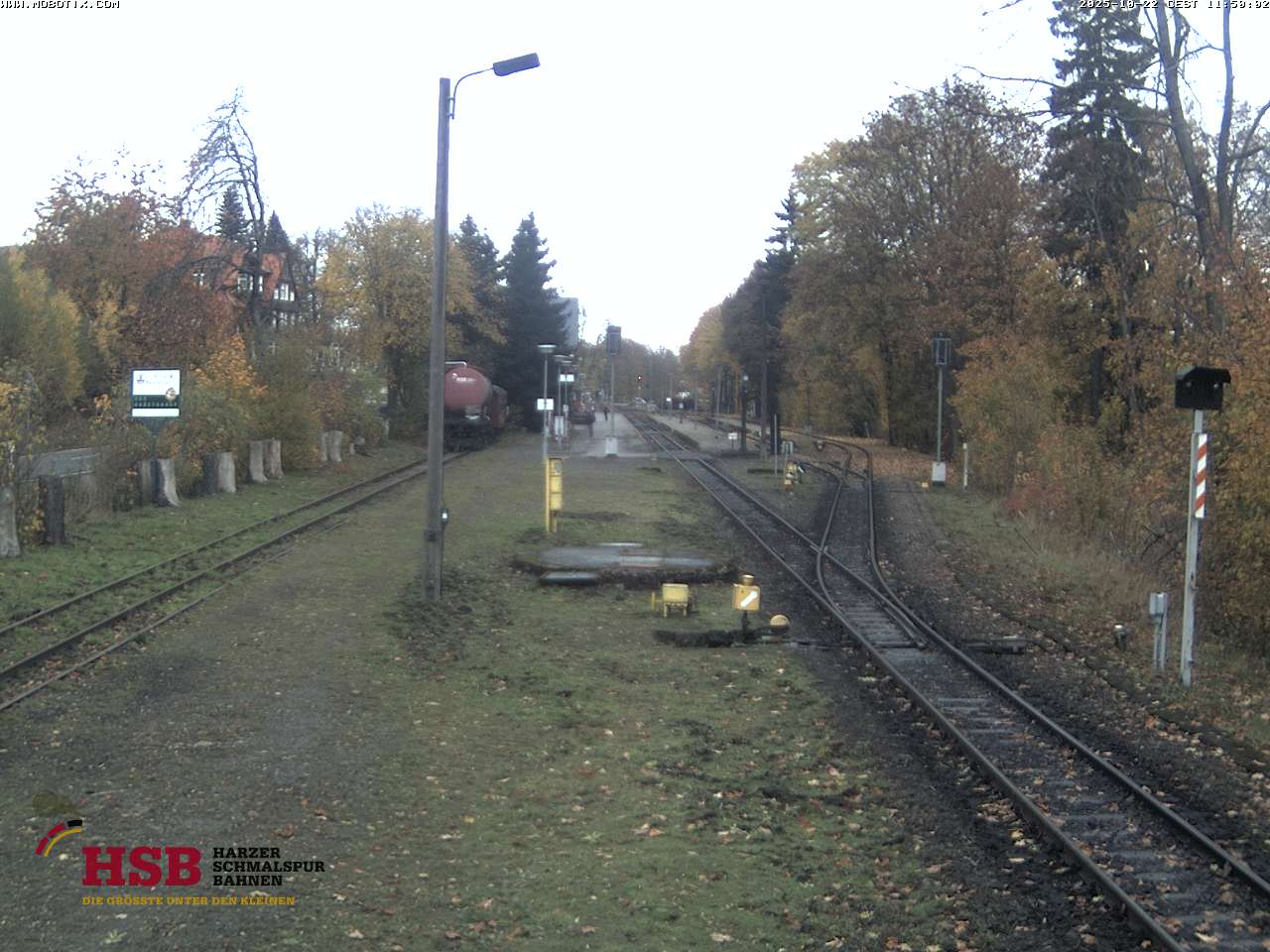 WebCam-Foto
