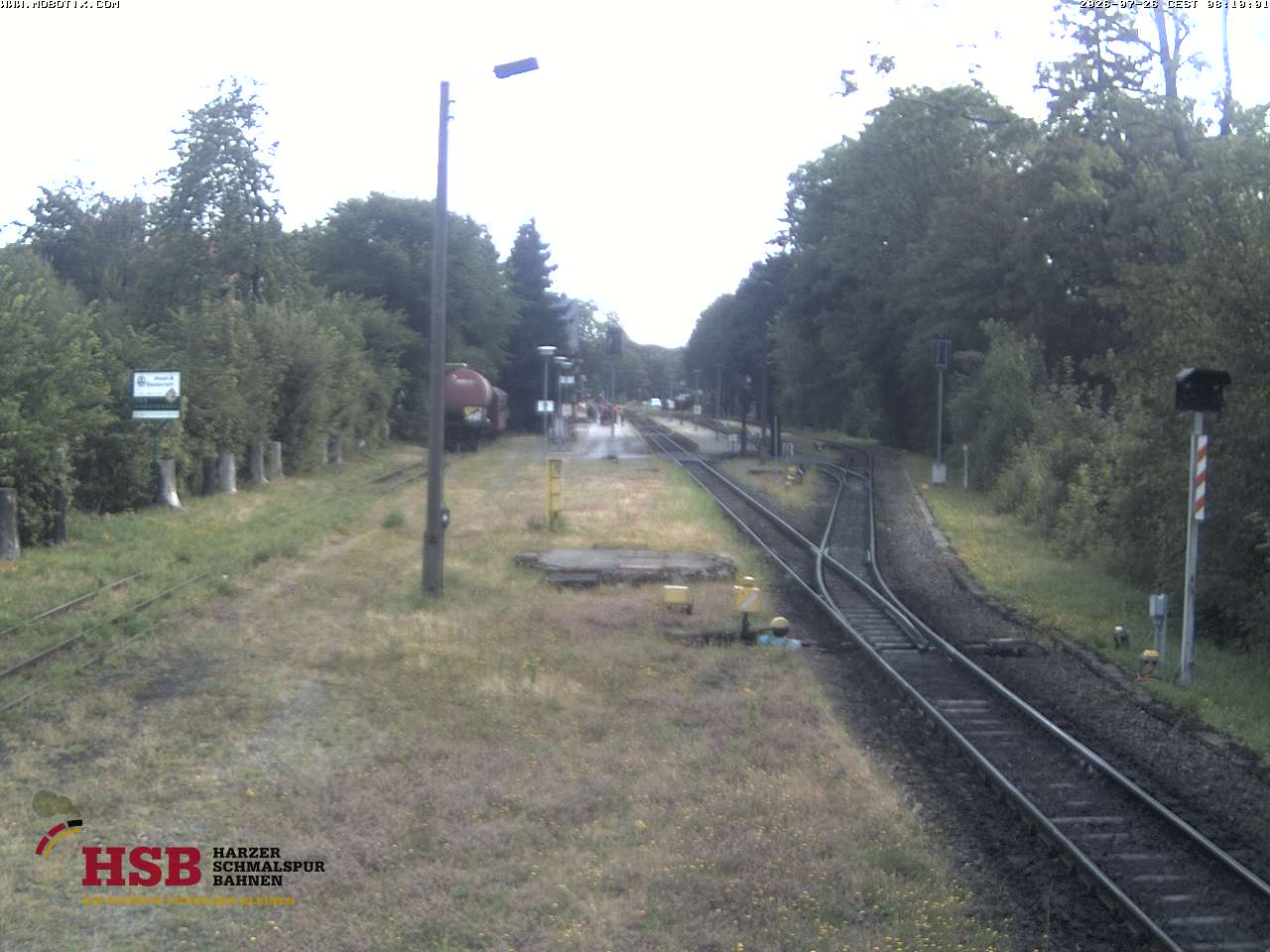 WebCam-Foto