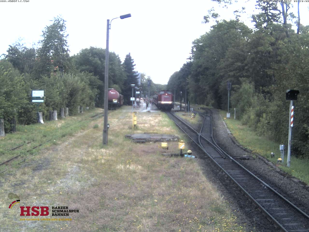 WebCam-Foto