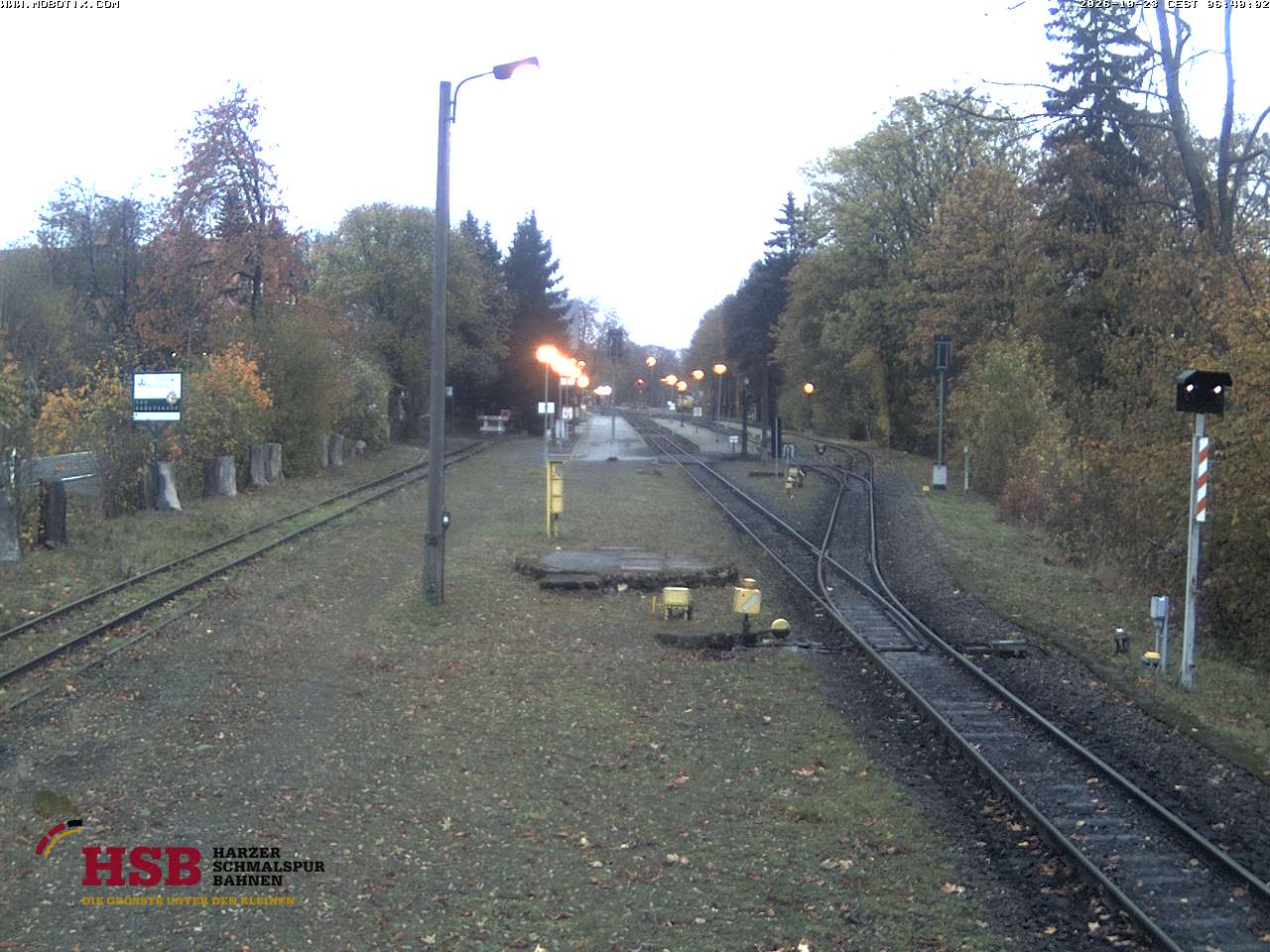 WebCam-Foto